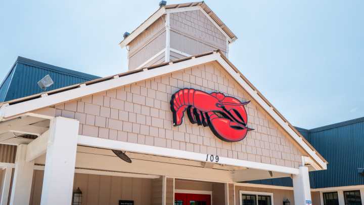 Red Lobster CEO teases fan favorites returning, deals in promo video