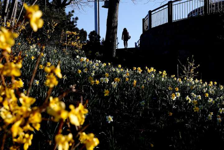 State Police investigate sexual assault at Paul Revere Park in Charlestown