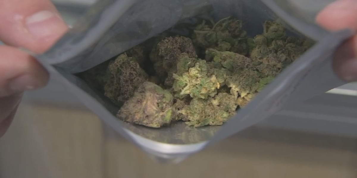 NYS Office of Cannabis launches educational initative for younger people