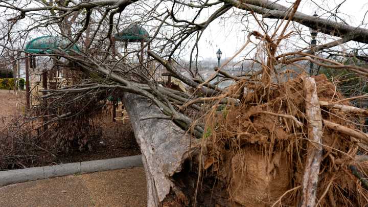 Big hurricane season forecast for 2025