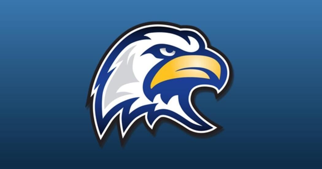 Hedgesville falls to Hurricane in state baseball semifinal
