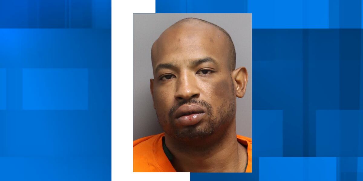 Dorchester County deputies arrest armed North Charleston man vandalism incident