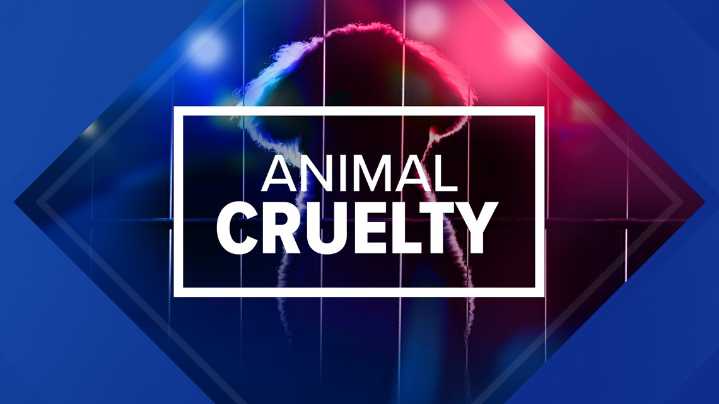 Animal cruelty charged against ex-cop in Lackawanna County