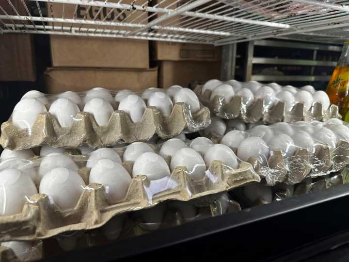 Salmonella outbreak tied to eggs sickens dozens across 7 states
