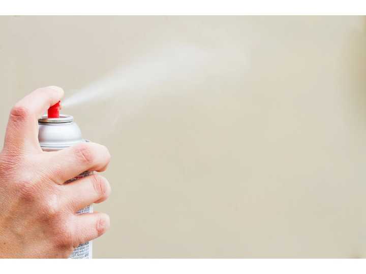 Hints from Heloise: Spray painting tips, a Pet Pal and more ...