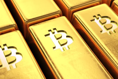 Crypto Treasury Companies Are Bullish on Bitcoin and XRP. But Don't Invest.