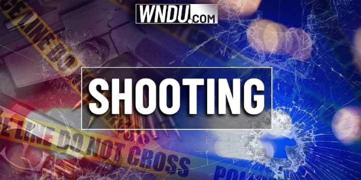 1 injured in road rage shooting in Berrien County