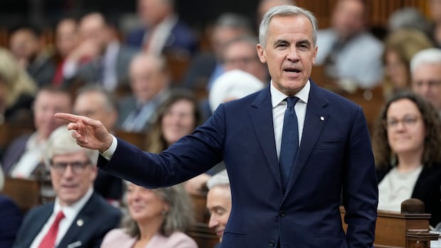 Carney and Chinese premier agree to regularize communication between Canada and China