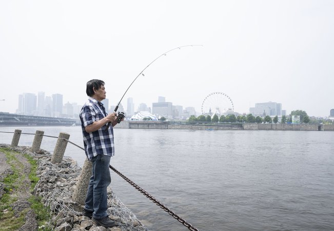 Air quality alerts ease across much of Quebec and Ontario after days of haze