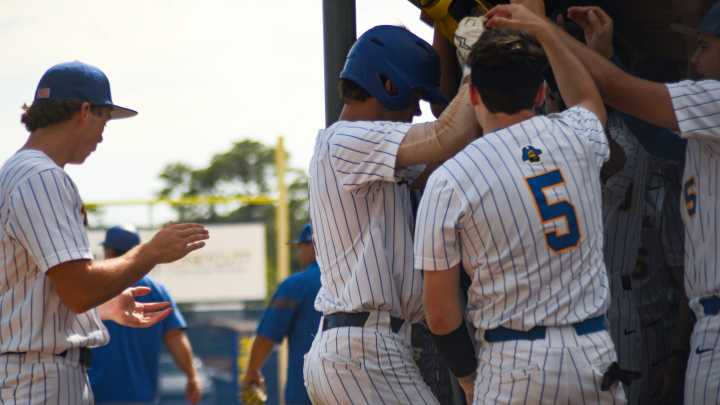 Has Laney baseball changed its future after run to state final?
