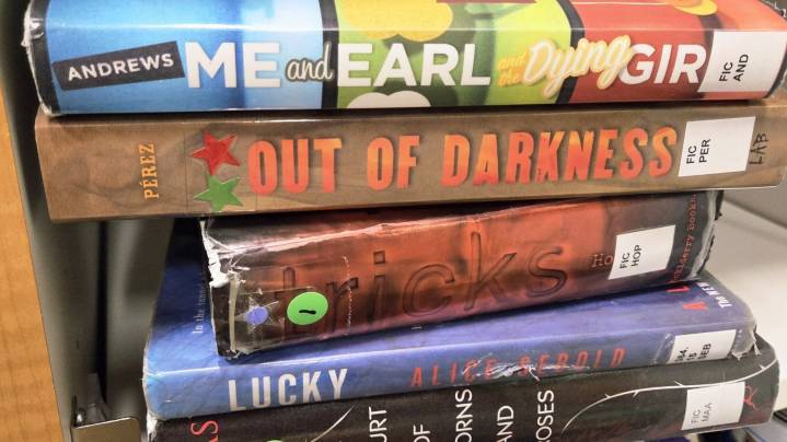 St. Francis Area Schools to reverse book ban policy