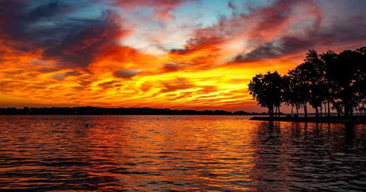 Our readers' Best Shots from May 30