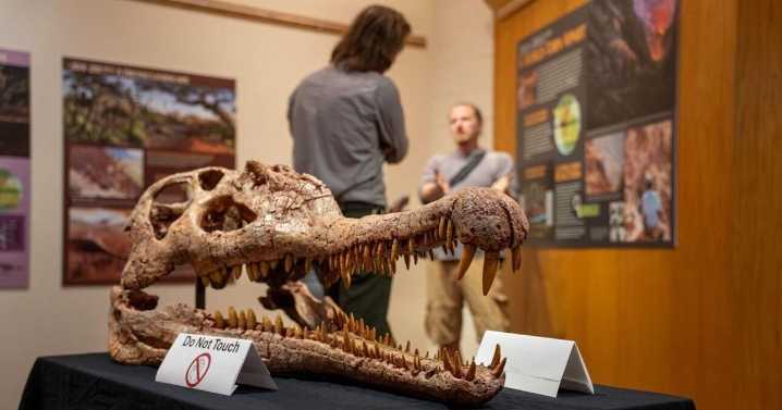 Zion National Park opens temporary museum exhibit on Southern Utah's Triassic period