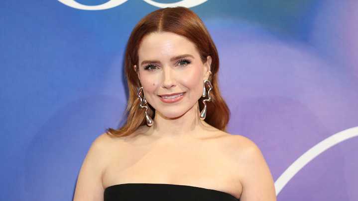 Sophia Bush Alleges She Was "Abused In Every Way" On a Certain TV Show