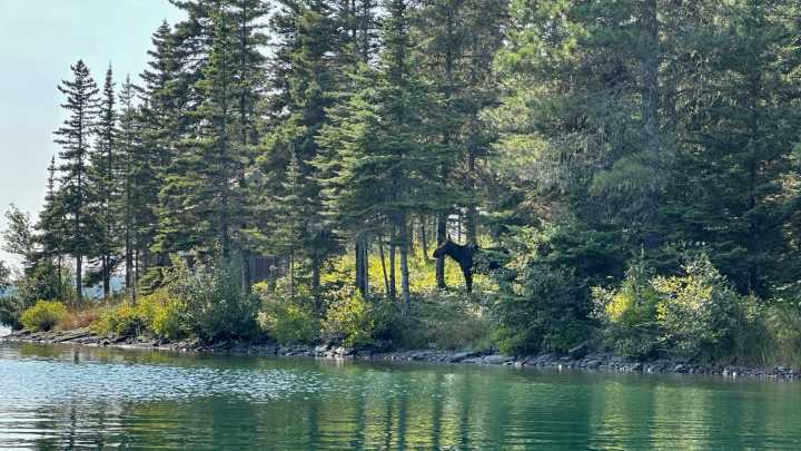 2 campers found dead at campground on Isle Royale: What to know