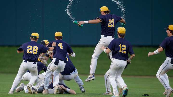 Portland vs Grand Ledge baseball: Diamond Classic championship photos
