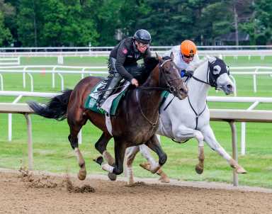 Belmont Stakes preview 2025: Odds, analysis and three top picks to play