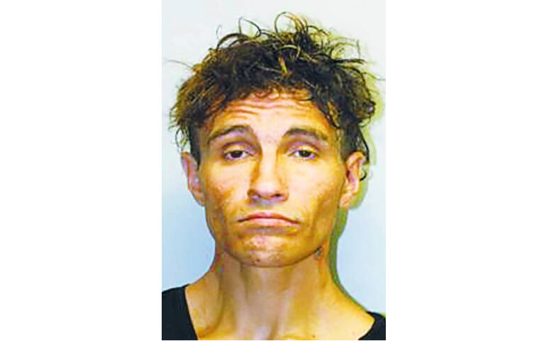 Hilo man allegedly threatened employee while robbing store