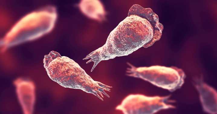 Texas woman dies from brain-eating amoeba after using tap water for nasal rinse
