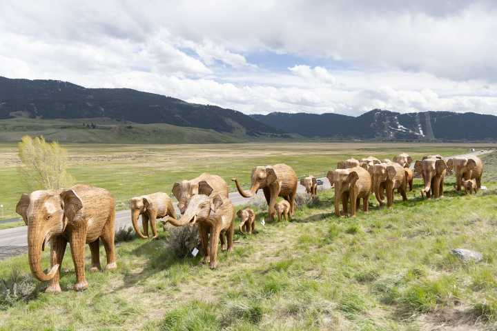 SNAPPED: Traveling elephant sculptures visit NMWA