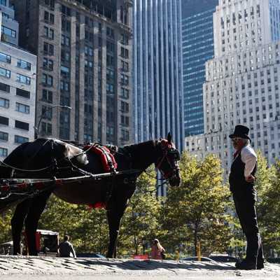 Opinion: Stop our political blindness on inhumane horse