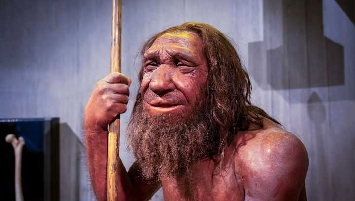 We Now Have A Better Idea Of The Average Lifespan For Neanderthals