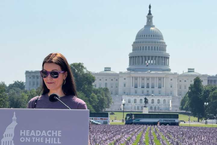 Why 30,000 purple and American flags are planted in front of the US Capitol