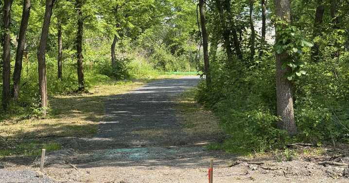 Sunbury Wetland project continues to grow, now in phase 2