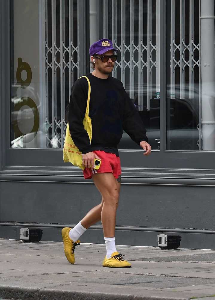 Harry Styles is now one of many short