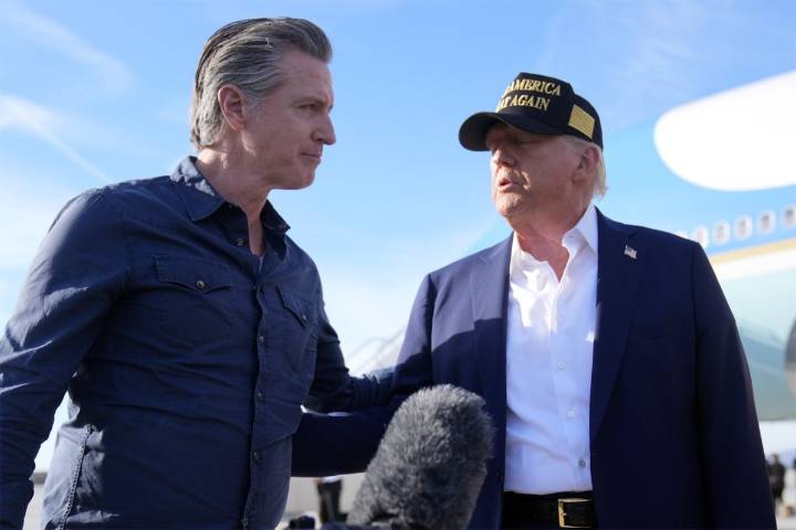 Trump's mass deportations leave Democrats more ready to fight back