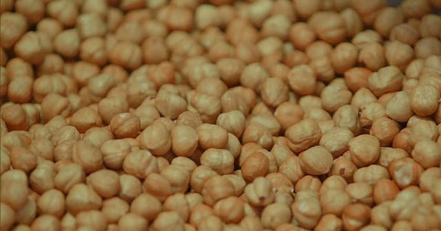 Nutella, the spread that made hazelnuts famous