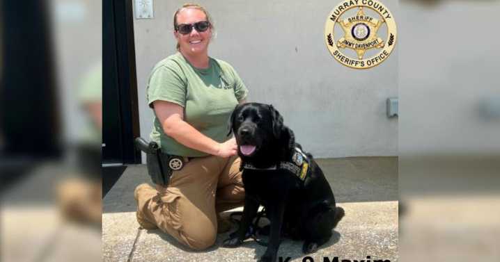 Murray Co. Sheriff's deputy, K-9 help with arrest following child sex crimes investigation
