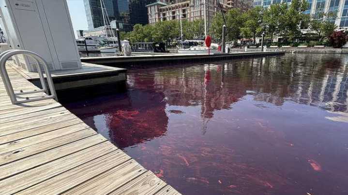 Baltimore Harbor Diesel Spill Contained, Cleanup Underway