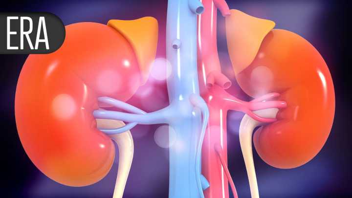 Two Drugs Better Than One for Easing Albuminuria in CKD Patients With Diabetes