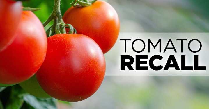 Tomatoes recalled for salmonella threat