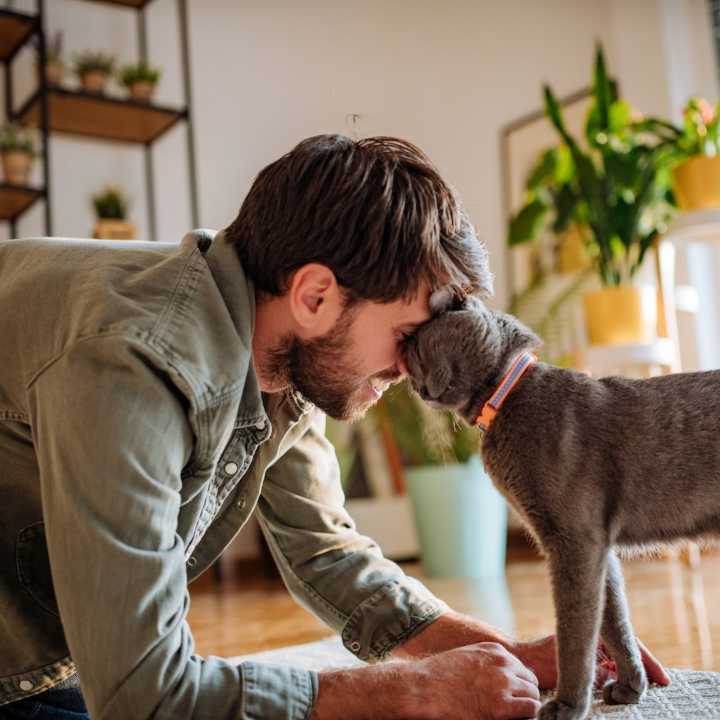 Best Father’s Day Gifts for Cat Dads of 2024 That’re Purr