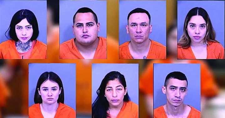 Scottsdale cops nab seven 'crime tourists’