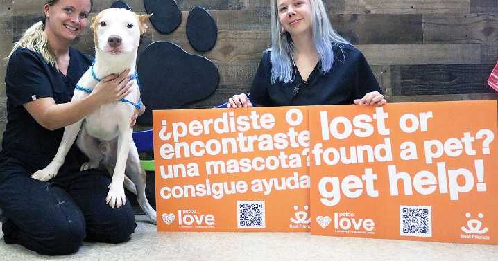 Bullhead City Animal Shelter chosen for national pilot project to reunite lost pets and their owners
