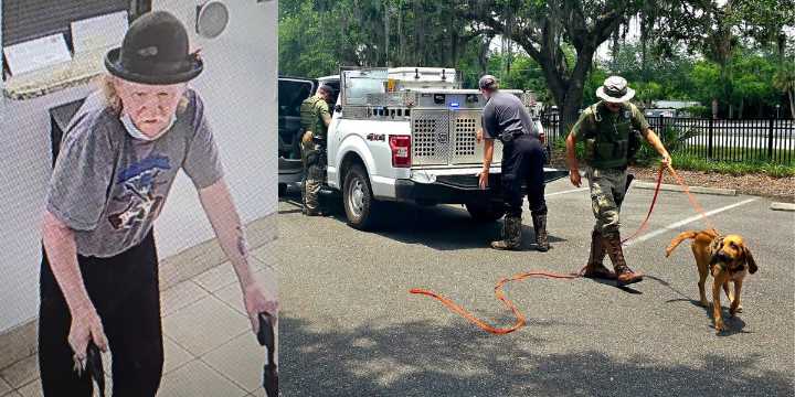 Missing 74-year-old man in Gainesville found safe