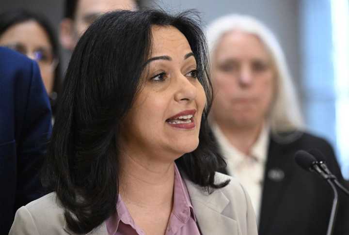 Ruba Ghazal wants its members to endorse its pro