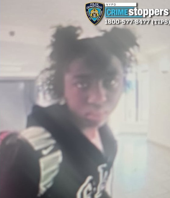 Naliyah Castro, 15, Missing