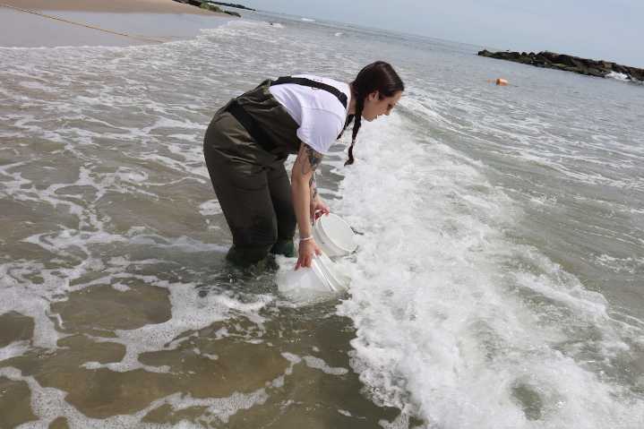 A N.J. woman is making gourmet sea salt with water from the Jersey Shore