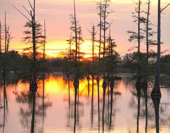 Big Lake: A magical patch of paradise in Arkansas’s smallest federally designated wilderness area