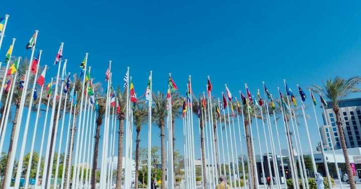 Amnistía Internacional condena nuevo veto migratorio impulsado por EE.UU.