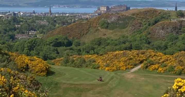 Edinburgh council reject call for ban on Braid Hills weapons testing