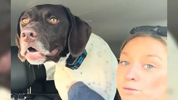 Vermont Owner Uncovers Her Dog's Hilarious Behavior That Takes Over the Internet