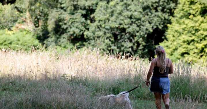 The 4 counties in England set to sizzle in 30C heatwave as weather maps turn red