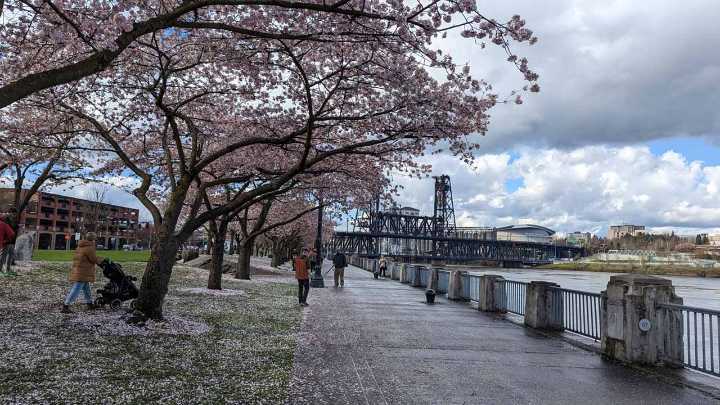 Over 100 People Go Missing in Oregon Every Month as Calls for Action Grow