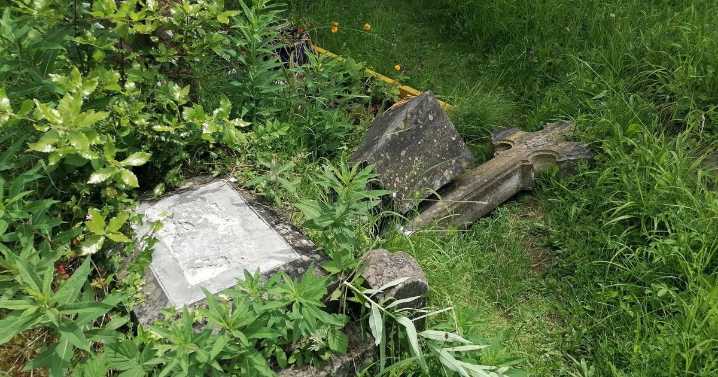 Graves smashed during break-in at much-loved Bristol attraction
