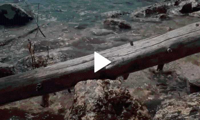 WYOWatch: Snake takes a dip